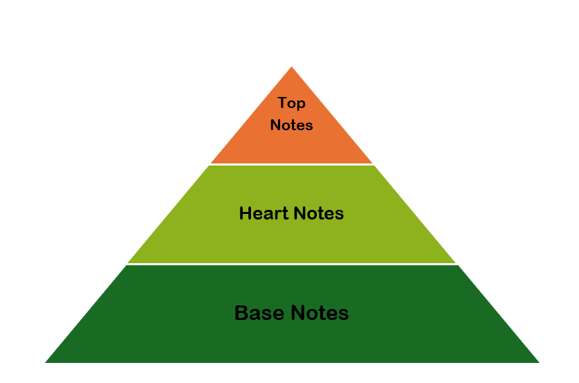 What Are Notes in Fragrances? A Complete Guide to Top, Heart, and Base Notes